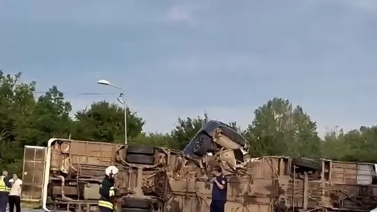 Един загинал и 5 между живота и смъртта след мелето с автобус на градския транспорт в София