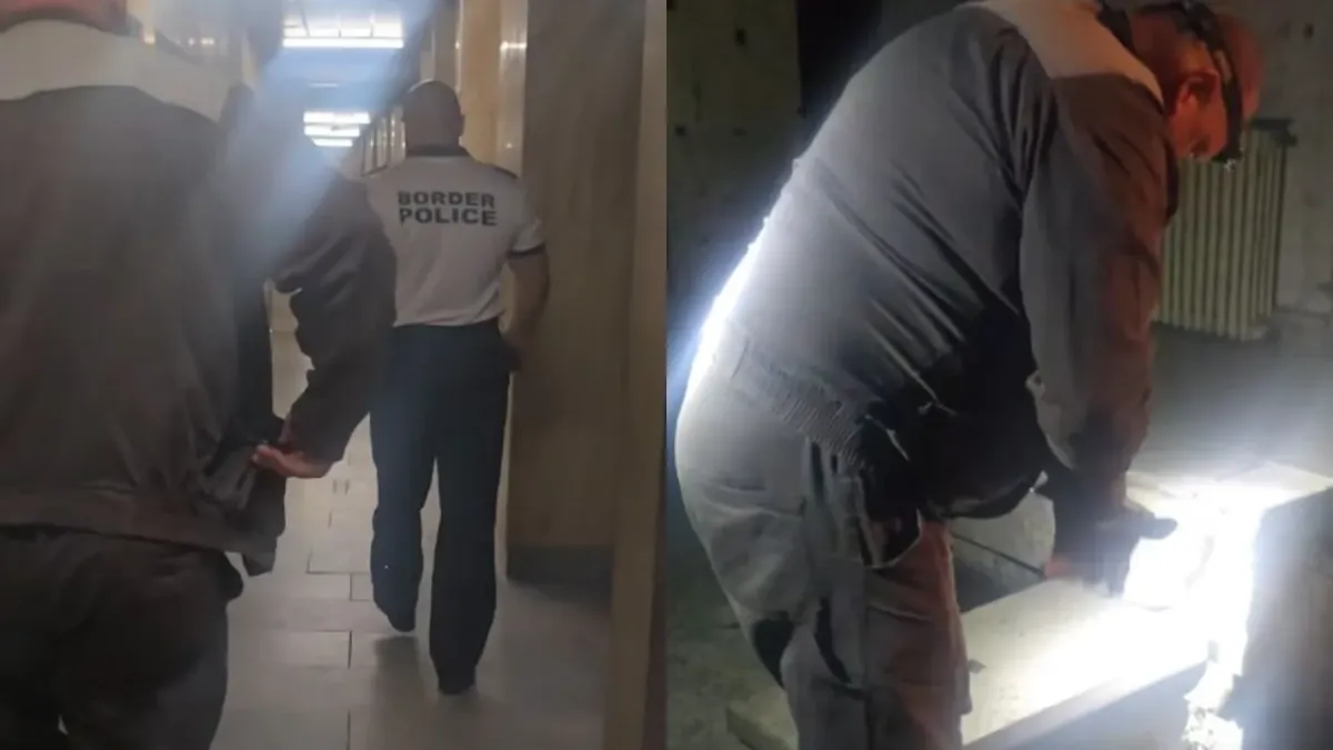 Среднощна спасителна акция за котенце в двора на ГД „Гранична полиция“