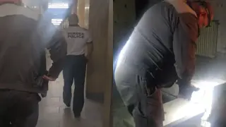 Среднощна спасителна акция за котенце в двора на ГД „Гранична полиция“