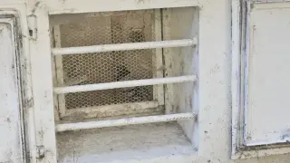 Гълъби в мазе на жилищна сграда вдигнаха на крак институциите