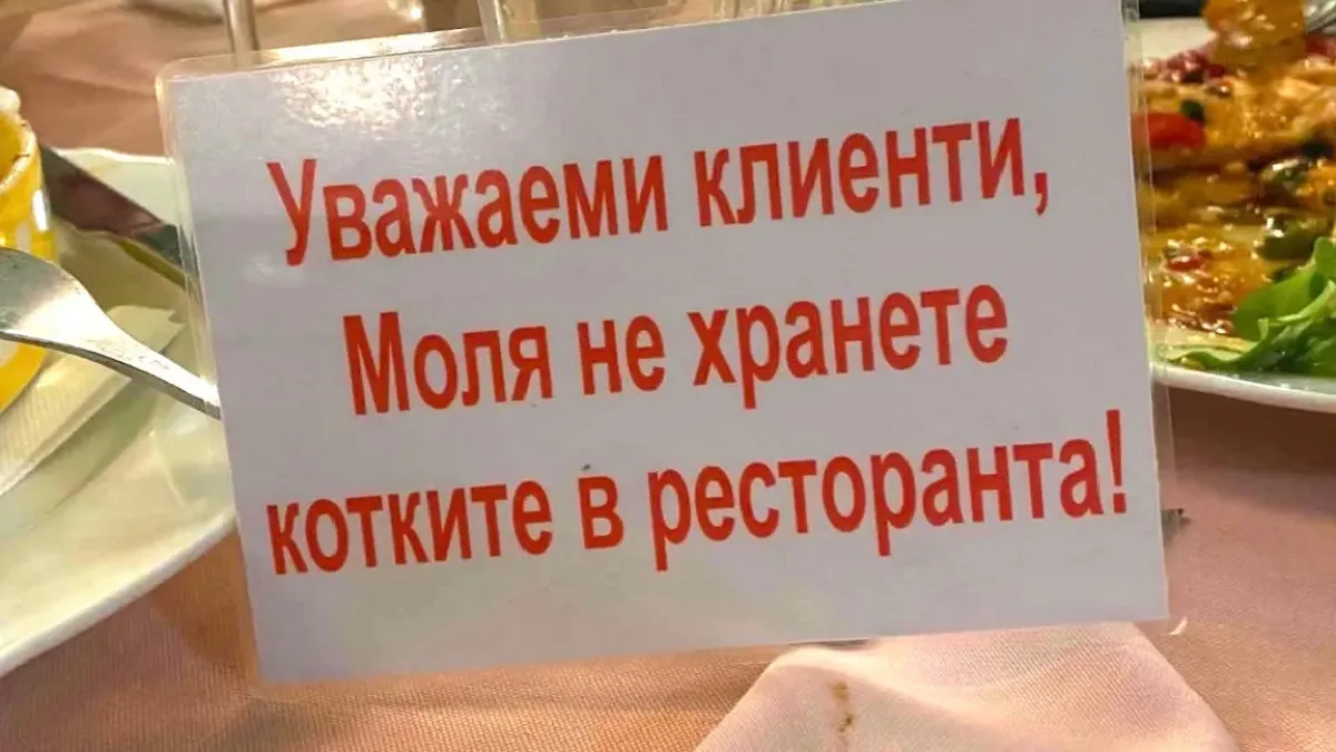 Табелка за забрана на котки във варненски ресторант разпали дебат