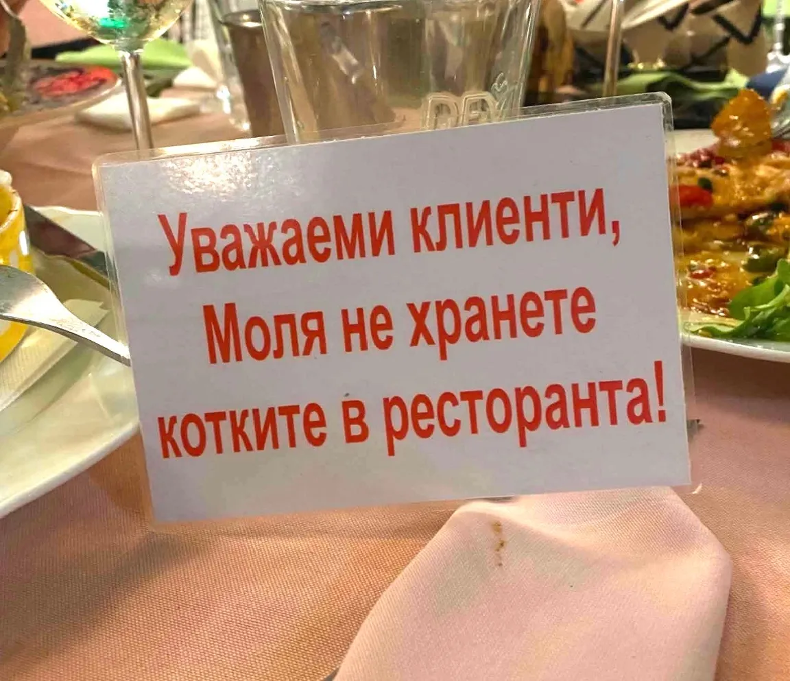 Табелка за забрана на котки във варненски ресторант разпали дебат