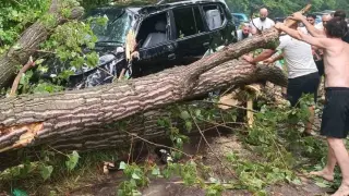 Огромно дърво смачка край Пловдив голям джип със семейство вътре