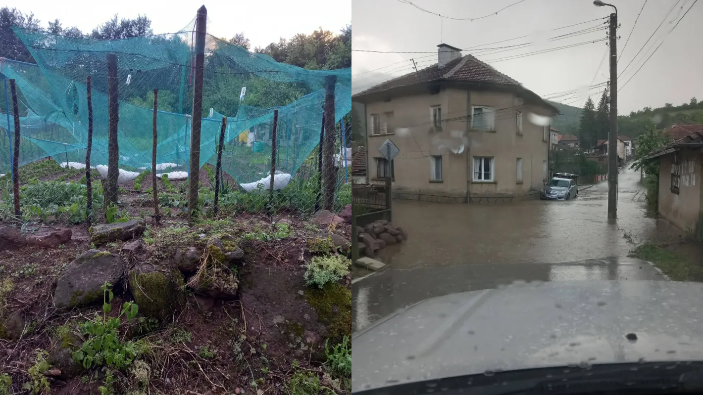 Буря удари село в Монтанско! Градушка с размер на орех унищожи реколта, улиците побеляха
