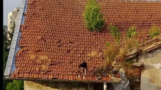 Кучета алпинисти притесниха цяла България
