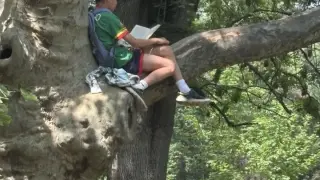 Има надежда: Всички говорят за това момче с книга на дърво