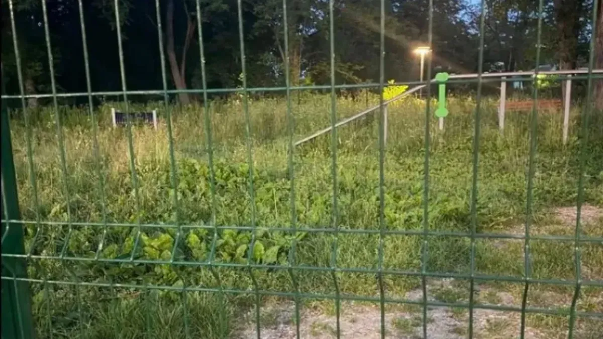 Кучешка площадка в Севлиево потъна в бурени, жители се оплакват от кърлежи