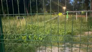 Кучешка площадка в Севлиево потъна в бурени, жители се оплакват от кърлежи