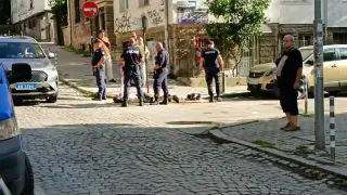 Арестуваха мъж в центъра на София, опитал да открадне кола с дете вътре Снимки