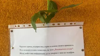 Любовно послание на "чаровен принц" във вход на блок в София стана хит