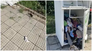 Димитровград осъмна със сутиени по тротоара
