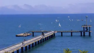 Деца си залагат живота на карта на Моста в Бургас