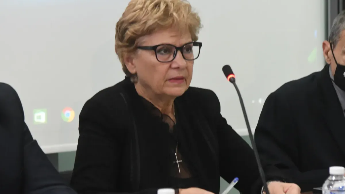 Комитова: 10 млн. евро на ден отиват само за косене на трева край магистралите