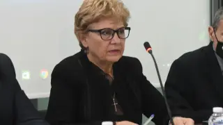 Комитова: 10 млн. евро на ден отиват само за косене на трева край магистралите