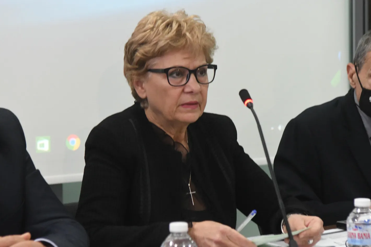 Комитова: 10 млн. евро на ден отиват само за косене на трева край магистралите