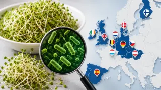 Кълнове от Индия предизвикаха бум на салмонела в Европа, има смъртни случаи и над 100 заразени