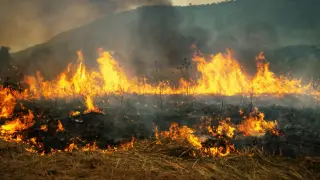 Пожарът в Скирос се вижда от Космоса
