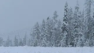 Юнски сняг заваля в САЩ, метеоролозите очакват да натрупа 30 см покривка