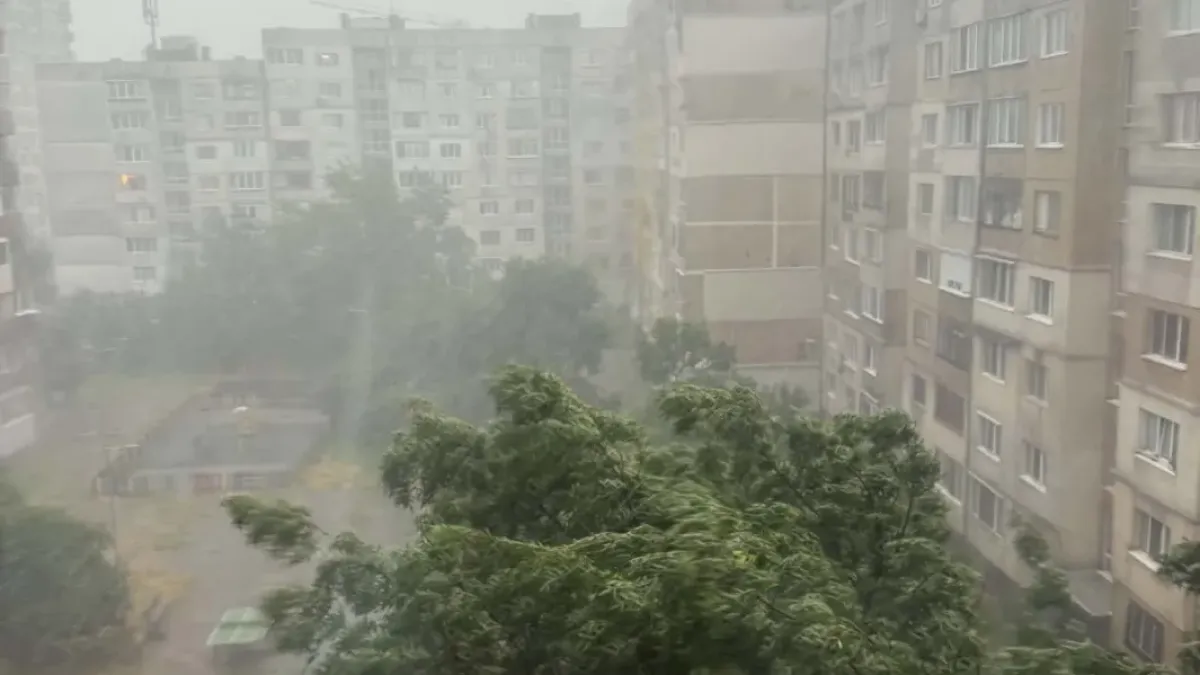 Силна буря с градушка и гръмотевици над София, има паднали дървета Снимки