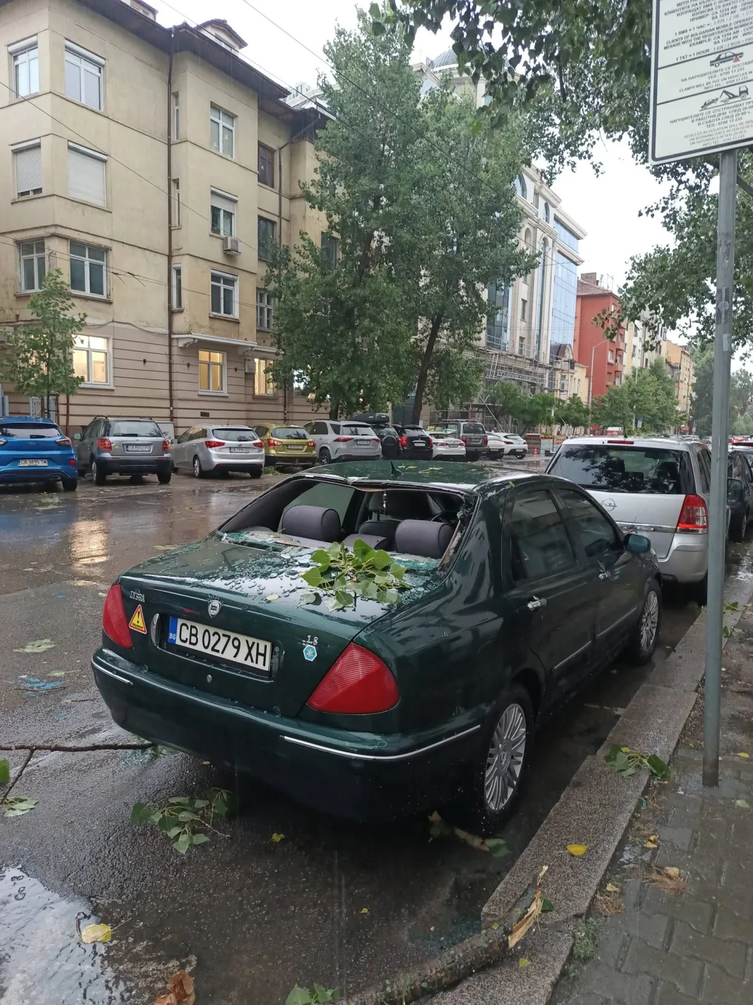 Дърво падна върху майка с две деца в градинка „Кристал“ в София Обновена