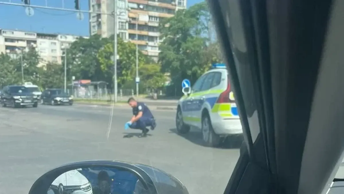 Полицаи спряха патрулката, за да спасят зашеметена птица в Пловдив