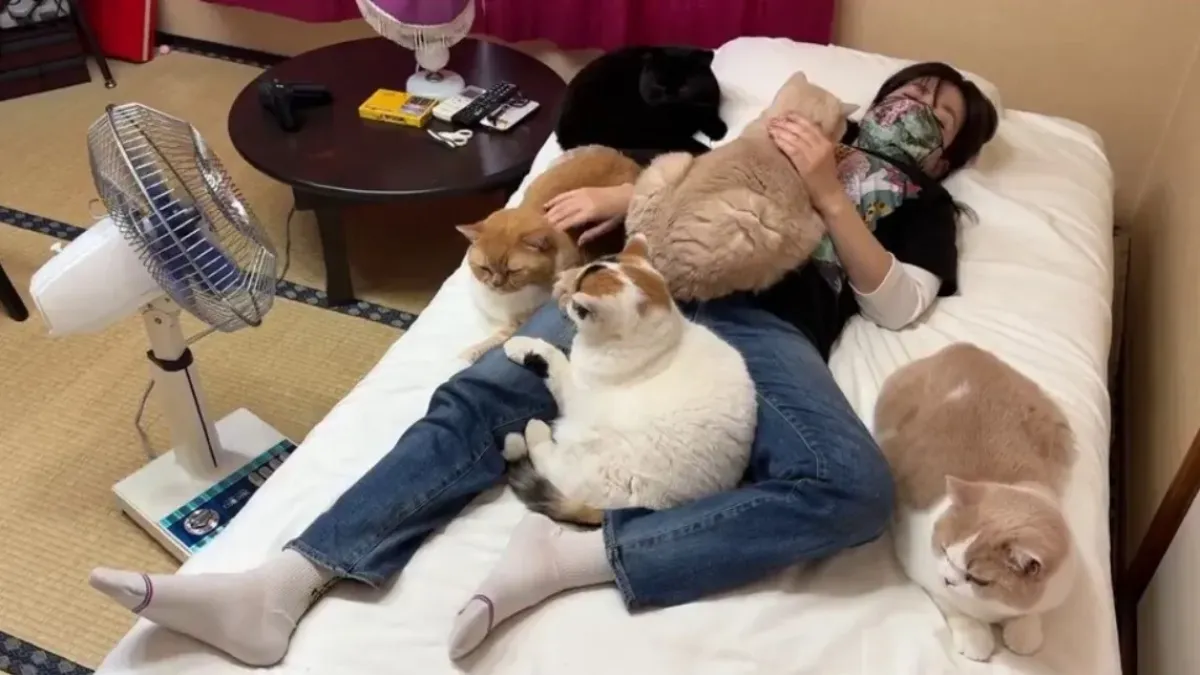 Котки дойдоха при стопанката си, усещайки, че тя не се чувства добре