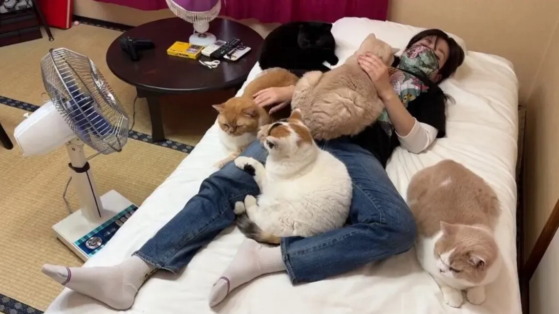 Котки дойдоха при стопанката си, усещайки, че тя не се чувства добре