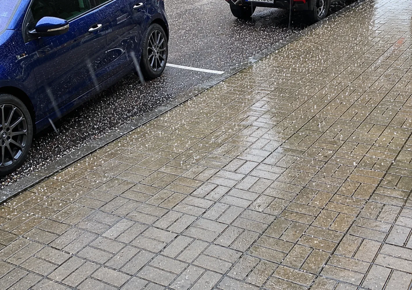 Силна буря в Петрич: наводнения, паднало дърво и проблеми с електрозахранването