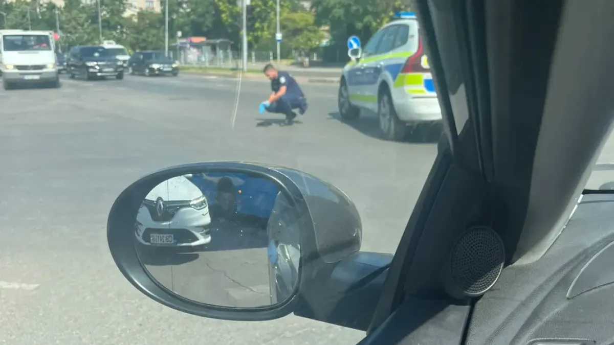 Полицай спаси зашеметена птичка на пътя, а жена показа другата страна на хората