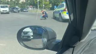 Полицай спаси зашеметена птичка на пътя, а жена показа другата страна на хората