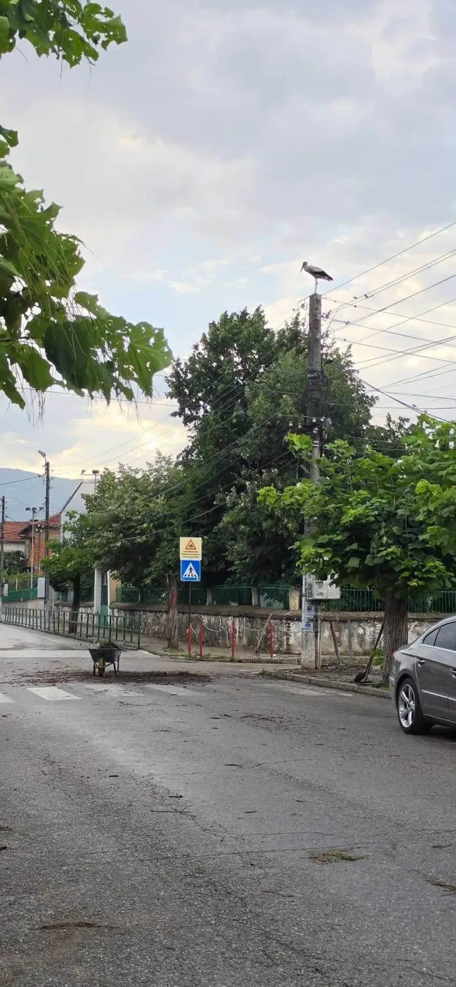 Всеки очаква помощ в бурята: Жена от Първомай показа как се прави