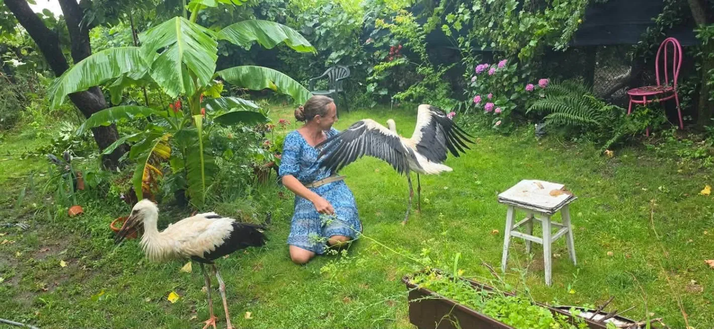 Всеки очаква помощ в бурята: Жена от Първомай показа как се прави