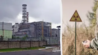 В руините на 4-ти блок на Чернобилската атомна електроцентрала се крие организъм, захранващ се с радиация