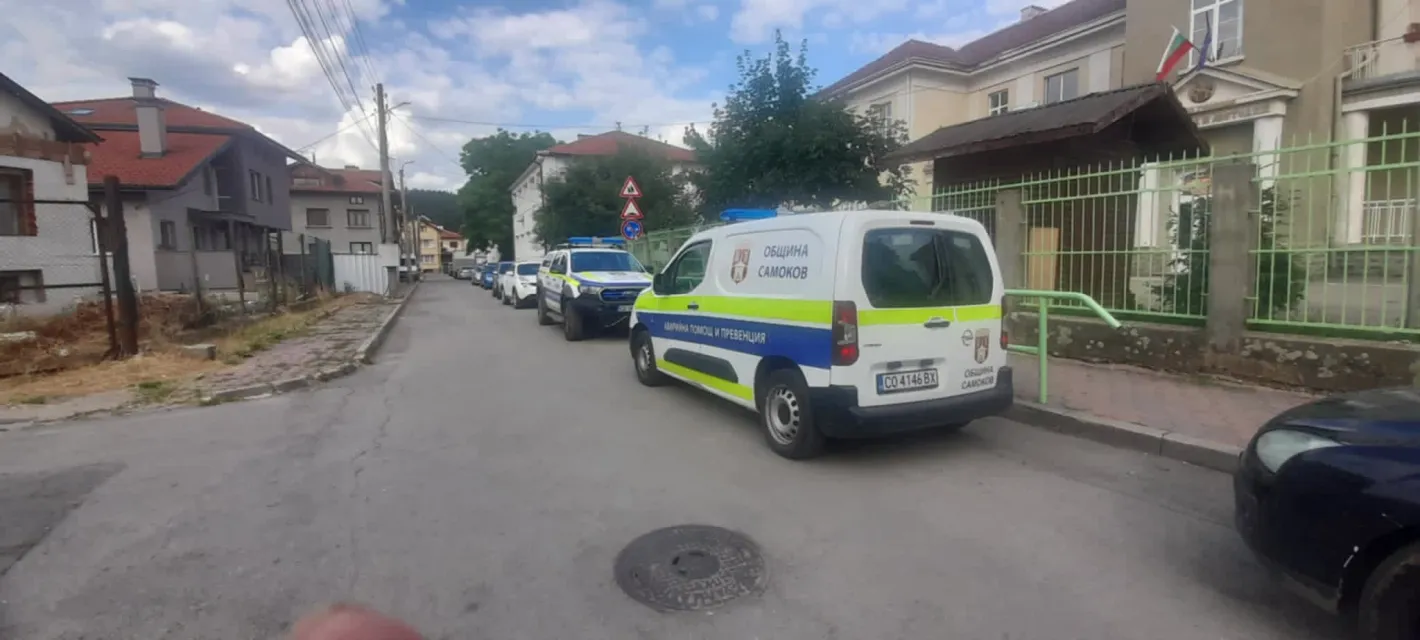 Питбули се нахвърлиха върху жена в Самоков и я обезобразиха, собственикът им избяга