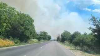 Пожар избухна край Стара Загора, евакуираха хора от хале