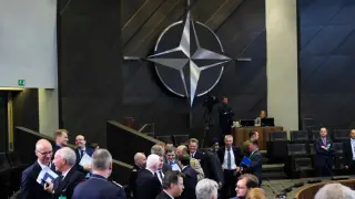 Котката Локум открадна шоуто на срещата на върха на НАТО в Анкара Снимки