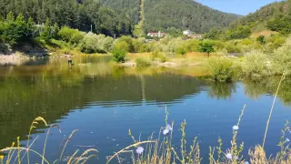 Зарибиха "Цанков камък" с над 8300 пъстърви