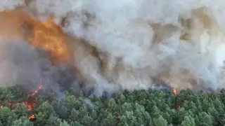 Гората Фонтенбло близо до Париж е в пламъци, а честванията на Деня на Бастилията са под въпрос