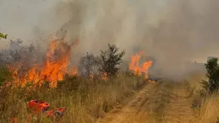Пожар край Асеновград: горят лозя, затворен е пътят за Кърджали