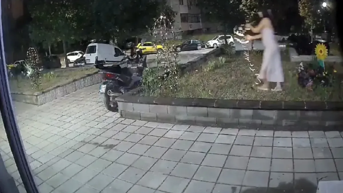 Жена свали гирлянд от заградена градинка в столичен квартал, показва запис от охранителна камера