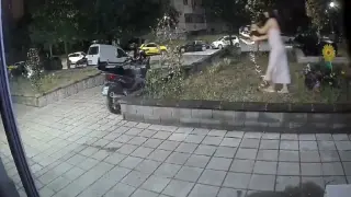Жена свали гирлянд от заградена градинка в столичен квартал, показва запис от охранителна камера