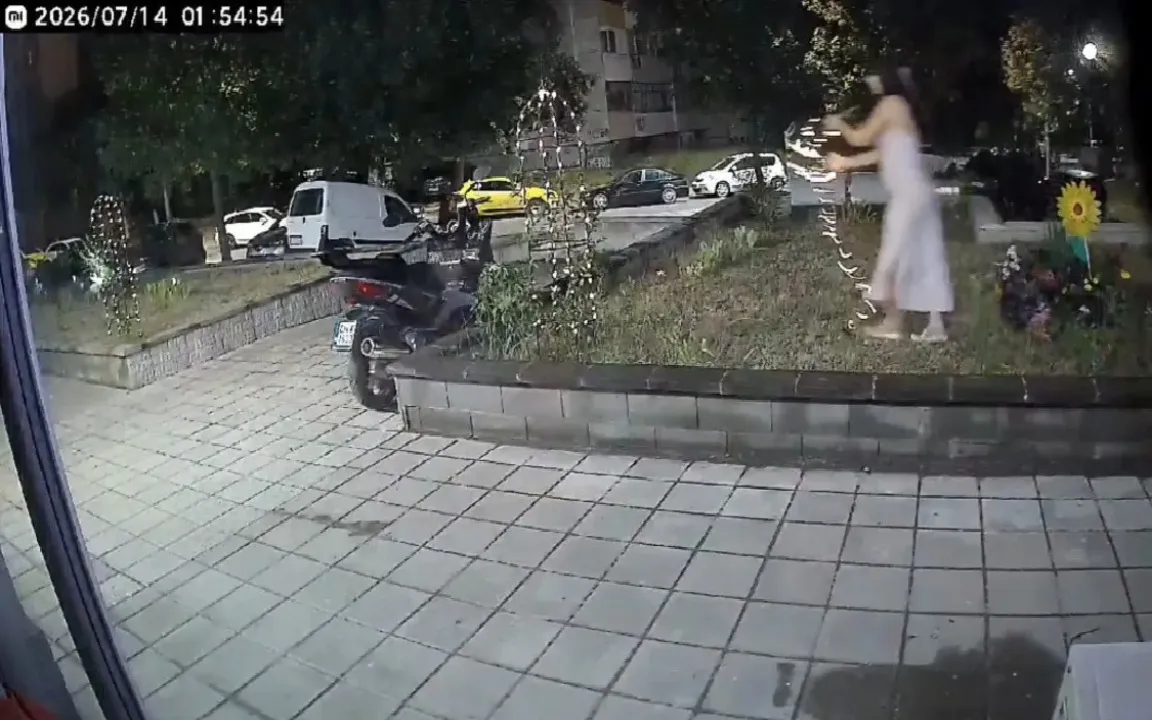 Жена свали гирлянд от заградена градинка в столичен квартал, показва запис от охранителна камера