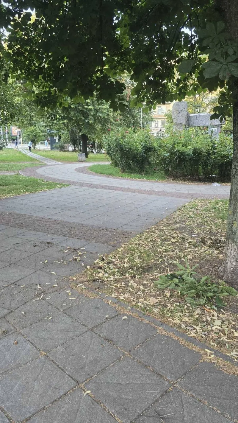 Предупреждение в мрежата: Жена е заснета да разпръсква неизвестна субстанция в парк в София
