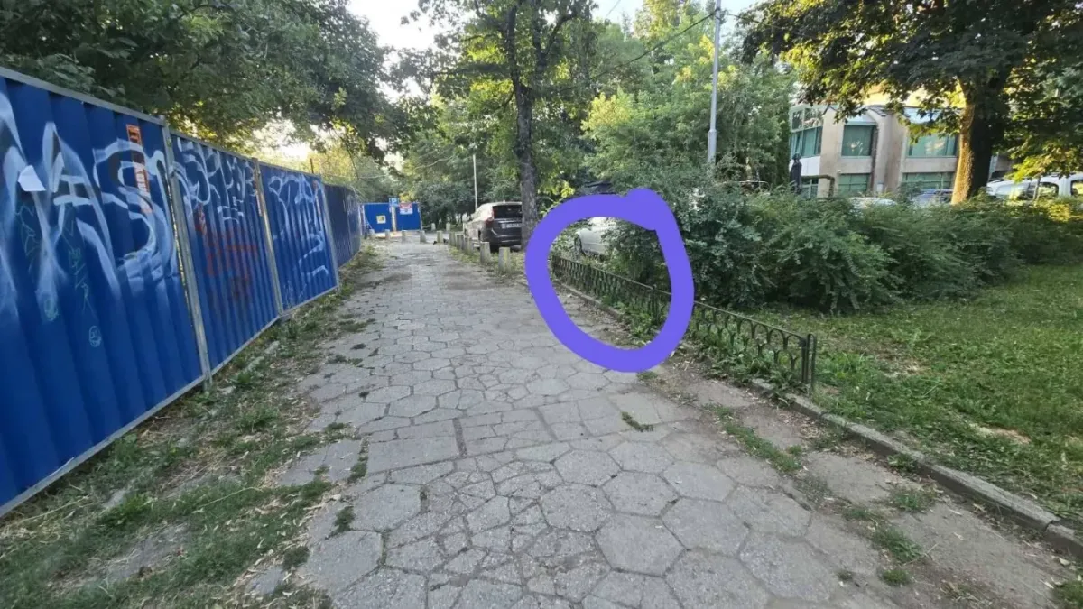 Предупреждение в мрежата: Жена е заснета да разпръсква неизвестна субстанция в парк в София