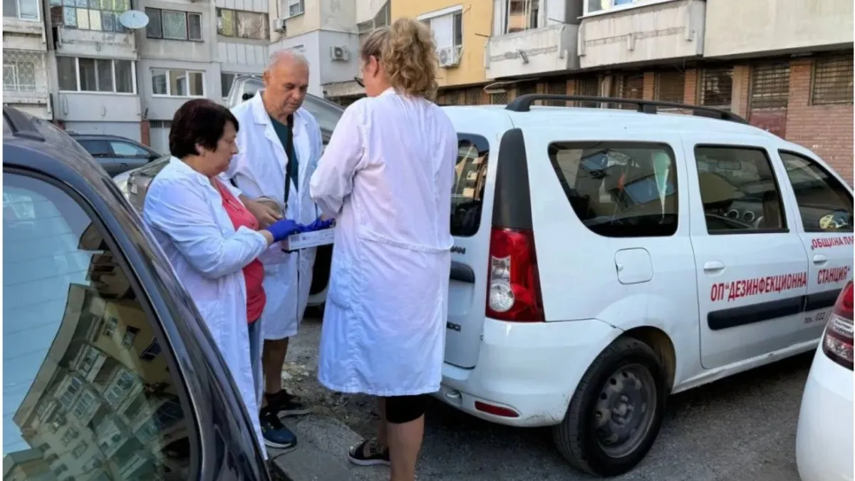 Дератизация в Пловдив заради плъх, заснет в пощенските кутии на блок на ул. „Славянска“