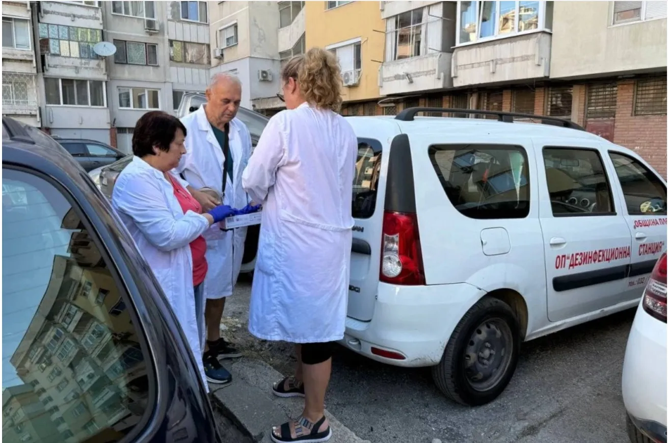Дератизация в Пловдив заради плъх, заснет в пощенските кутии на блок на ул. „Славянска“