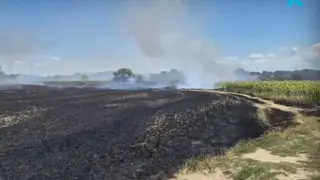 Палежи и вандализъм в Пловдивско: Заловиха деца, заподозрени за част от инцидентите