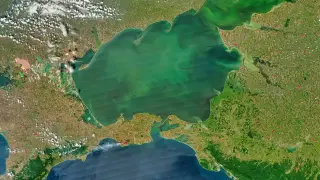 Reuters: Горивната криза и ударите по кораби в Азовско море затрудняват руските земеделски производители