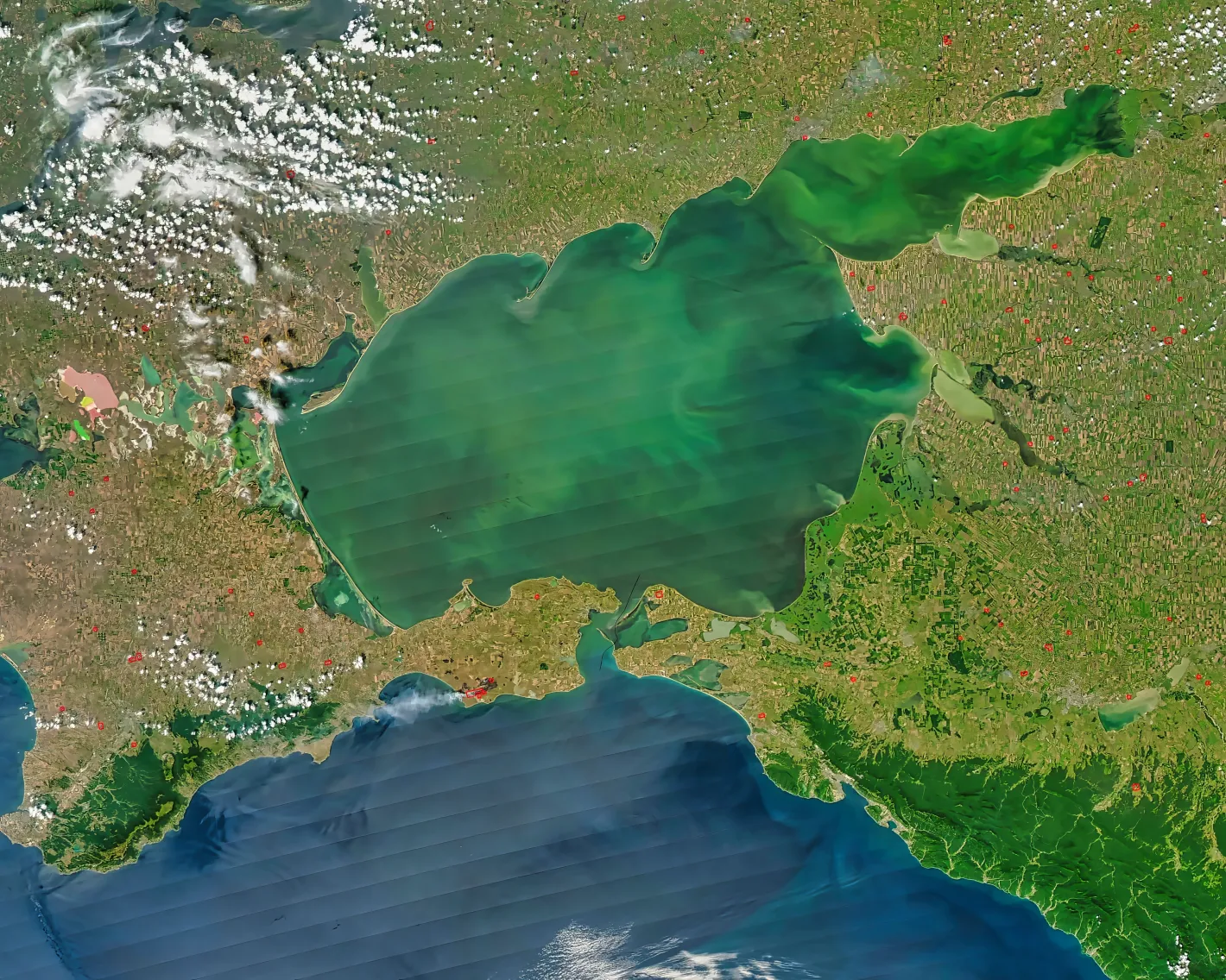 Reuters: Горивната криза и ударите по кораби в Азовско море затрудняват руските земеделски производители