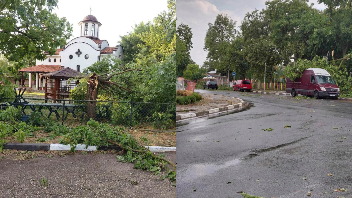 Буря удари Ямбол: Паднали дървета, смачкани коли и наводнени улици Снимки